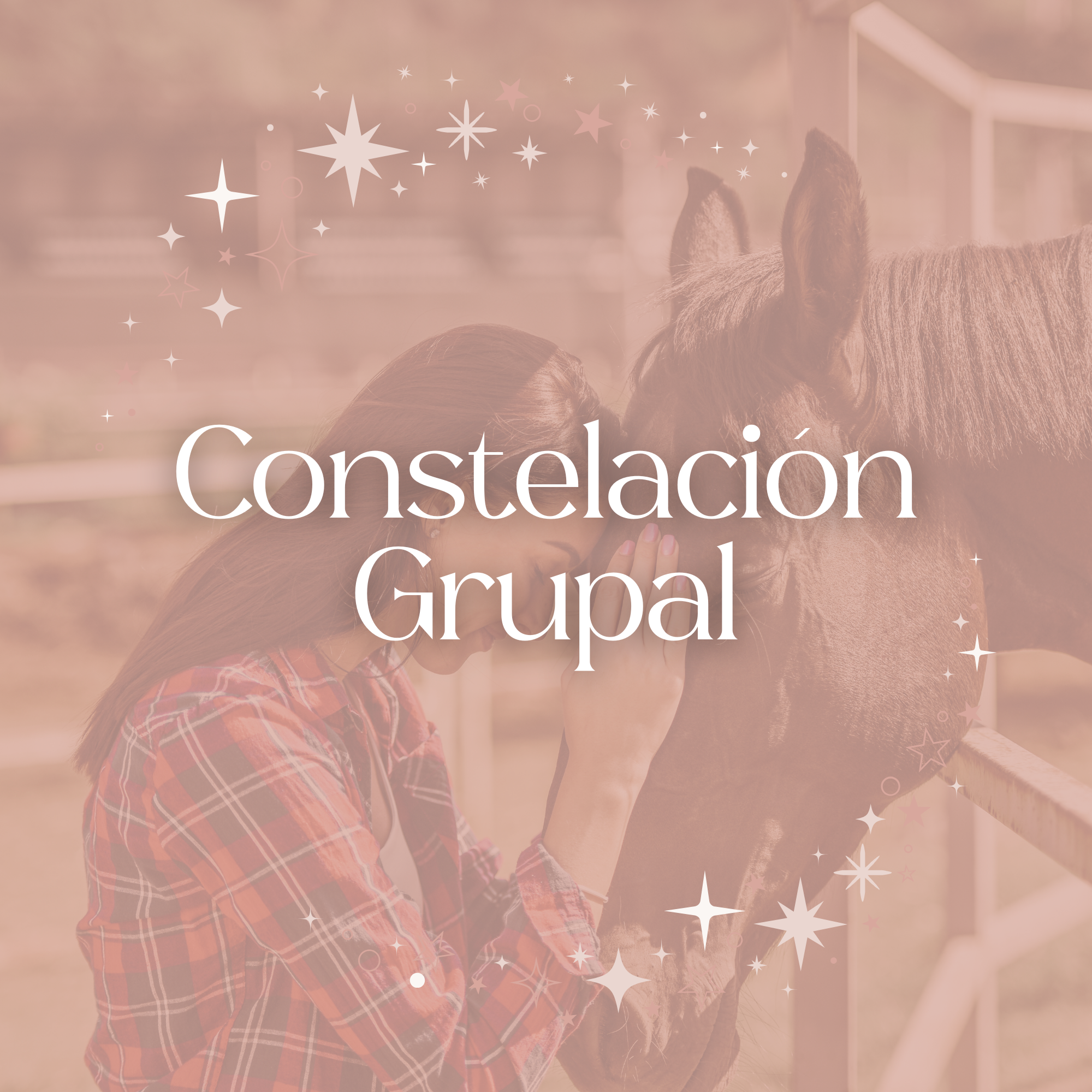 Constelación en Grupo con Caballos - Lista de Espera